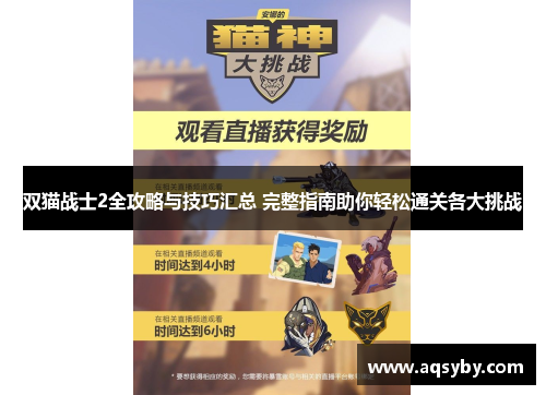 双猫战士2全攻略与技巧汇总 完整指南助你轻松通关各大挑战