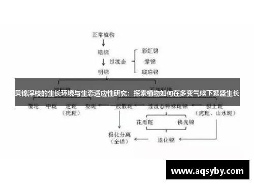 贝锦浮枝的生长环境与生态适应性研究：探索植物如何在多变气候下繁盛生长